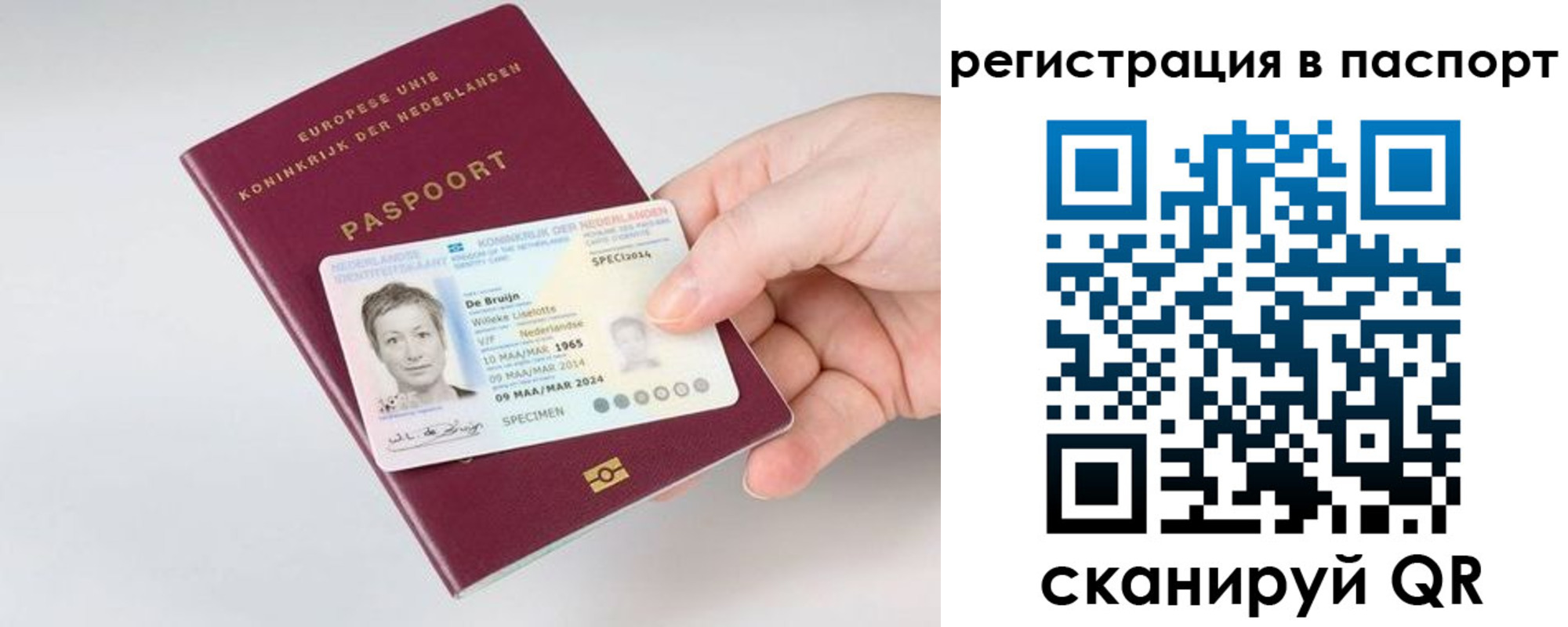 прописка от собственника в Биробиджане